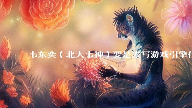 韦东奕(北大韦神)要是去写游戏引擎代码,能不能把虚幻引擎按在地上摩擦?数学好真能‘降维打击吗?