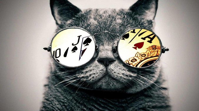 都2024年了，Golang还是不温不火吗？Go究竟能干什么？